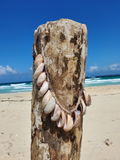 pretty beach photo - the shell necklace is displayed on a driftwood piece