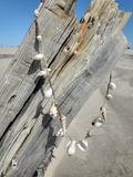 13 mixed shells, 1-1 at the tips