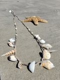 Shells on Hemp Long Necklace or Belt