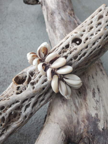 a simple yet decorative shell bracelet with 2 rows of sliced Cowrie shells, displayed around a piece of wood