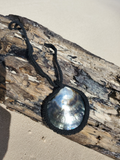 the shell is very shiny, especially in the sunlight