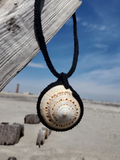 Caged GIANT Sundial Shell Pendant Necklace Choker