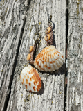 crocheted hemp beaded with one beads, venus clam shells