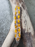 Peacock Pearls & Yellow Sari Silk Bracelet