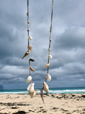 Necklace with seashells hanging against a beach backdrop
