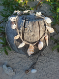 Driftwood with seashells on a sandy surface with greenery