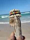 Driftwood with a shell and bead bracelet held by a hand on a beach.