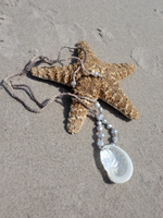 the back of the shell - a beach photo