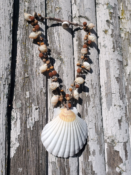 Organic Seeds And Big Shell Necklace