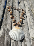 Organic Seeds And Big Shell Necklace