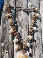 Organic Seeds And Big Shell Necklace