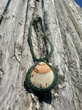 Shell pendant on a green cord against a wooden background