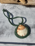 Shell pendant on a green cord against a textured surface
