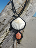 large shell statement necklace with a black rope hanging on a drift wood at the beach