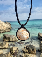 Shell pendant necklace with a beach background