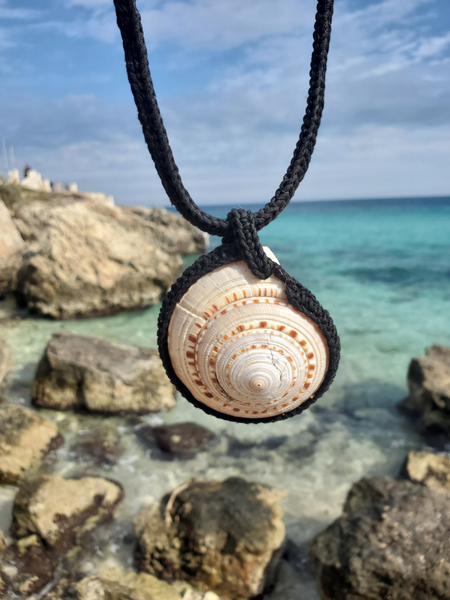 Shell pendant necklace with a beach background