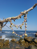 crocheted on a nylon thread, sliced green turbo shell and puka shells necklace. 52' long