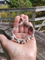Hemp Bracelet with 5 Cowrie Shells